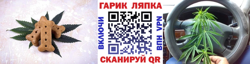Cannafood конопля  Бежецк 